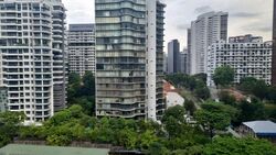 Suites @ Cairnhill (D9), Apartment #576826621